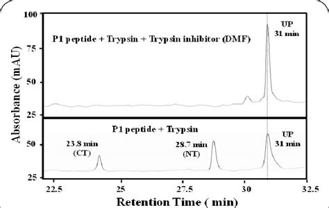 RP HPLC Chromatograms Showing The Blockade Of Trypsin Mediated Cleavage