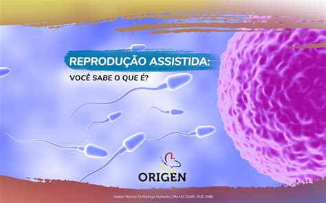 O Que E Reproducao Assistida
