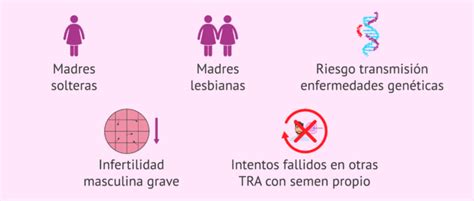 Indicaciones De La Inseminaci N Artificial De Donante