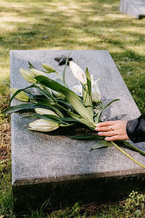 Why Local Residents Trust High Country Funeral Services For Respectful Cremation And Traditional Burial Options 1
