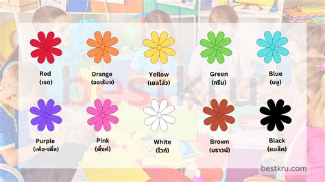 สีภาษาอังกฤษ Colors พร้อมคําอ่าน สี 12 สี แม่สี สีรุ้ง 7 สี – BestKru