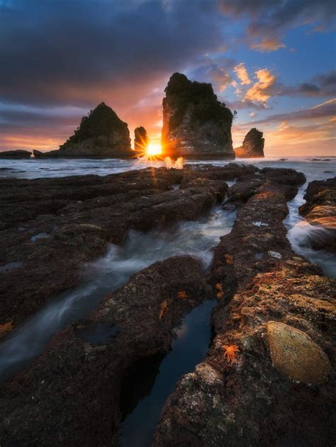 spectacular sunset   beach  zealand coast photography