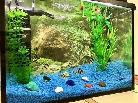 Грунт для аквариума своими руками : Рецепты, сколько грунта нужно в ...