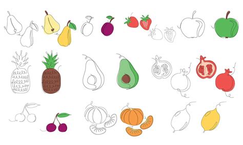sketches  fruits  vegetables fruits vegetables drawing project