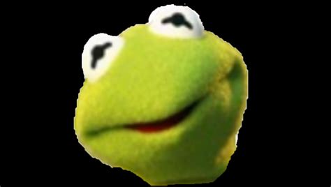 kermit  frog head  maximusreed  deviantart