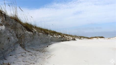 Ancient dunes on the beach in Anastasia State Park. #Florida #HappierPlace Atlantic Ocean ...