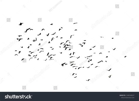 Flock Crows Flying White Background Stock Photo 1546548227 | Shutterstock