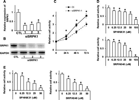 SRPK1 Inhibition Suppressed The Cell Proliferation Of ENKTL Cells