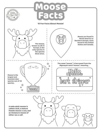 Moose Facts For Kids of All Ages Kids Activities Blog