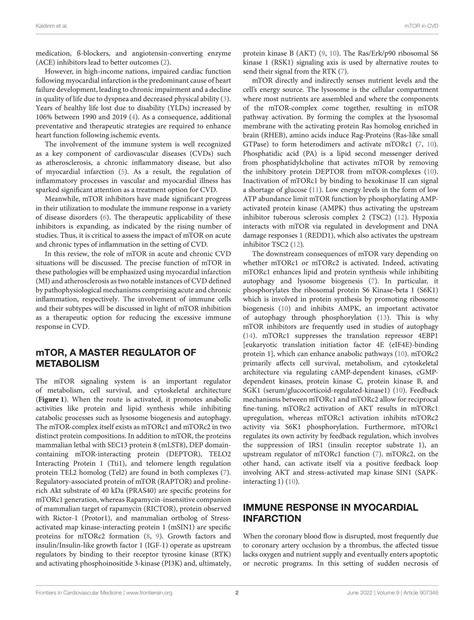 Solution Modulation Of Mtor Signaling In Cardiovascular Disease To