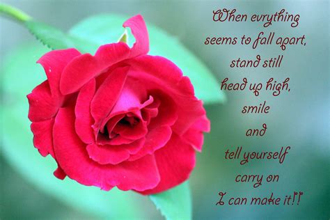 Believe In Yourself Quotes Free Stock Photo - Public Domain Pictures