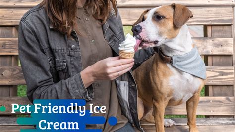 Pet-Friendly Ice Cream