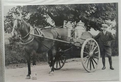 Horse Drawn Old London Float Kingdom Dairy Milk Horses Olds Animals