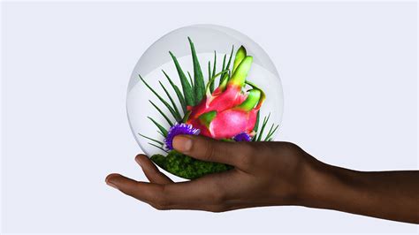 Beauty, Health & Wellness Futures 2022 Report