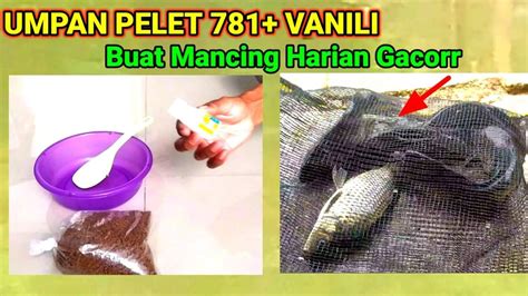 Tutorial Bikin Umpan Bahan Dasar Pelet Vanili Mancing Harian Ikan