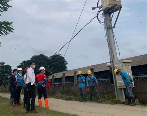 Pln Berhasil Pulihkan Persen Kelistrikan Terdampak Banjir Di Jawa