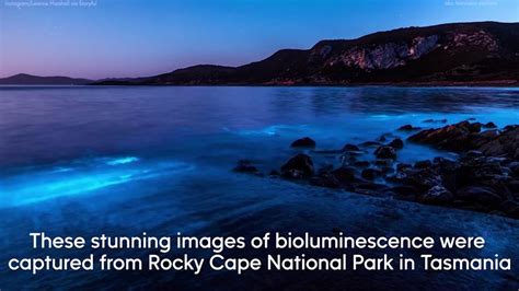 Stunning bioluminescence lights up Tasmania beaches - ABC7 San Francisco