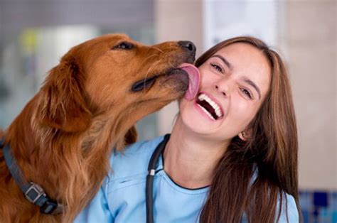 Por Estas Razones No Debes Besar A Tu Perro En La Boca