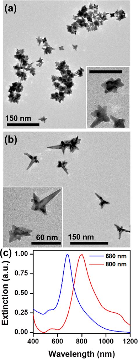 Figure 1 From Morphology Directed Catalysis With Branched Gold