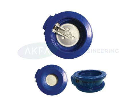 ACET Engineering Valve Supplier Johor Malaysia Non Return Valve