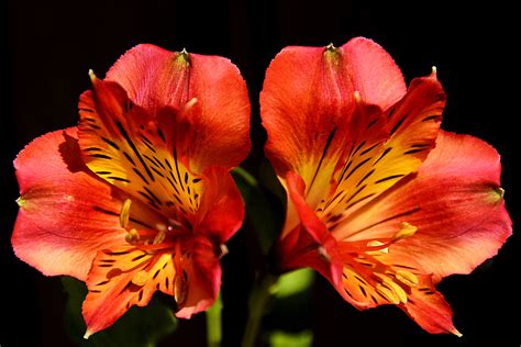 Identical Twin Brothers One Gay One Straight A Dialogue About Same Sex Marriage HubPages