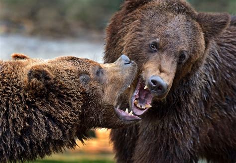 National Geographic Espa A On Twitter Por Este Motivo Es Frecuente