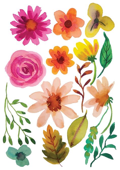 Watercolor Flower Elements 11887163 Vector Art At Vecteezy