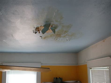 Cost To Repair Water Damaged Plaster Ceiling | Americanwarmoms.org