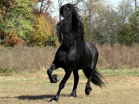 Black Centaur By Elephant883 On Deviantart