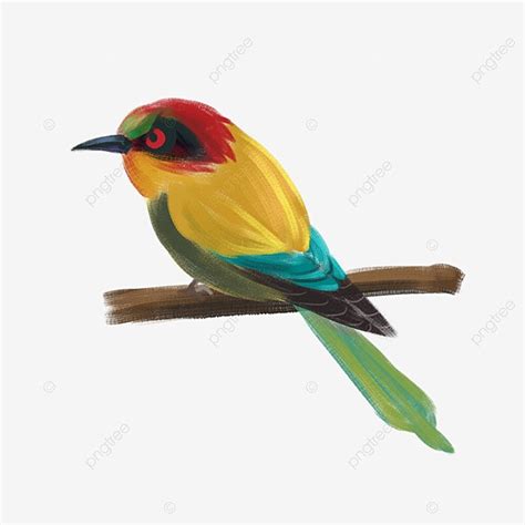 Hermoso Pájaro Vectorial De Siete Colores Png Vistoso Aves De