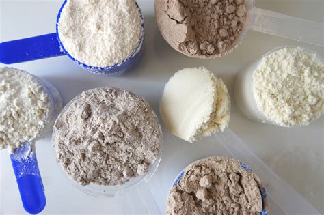 protein supplements  women       protein