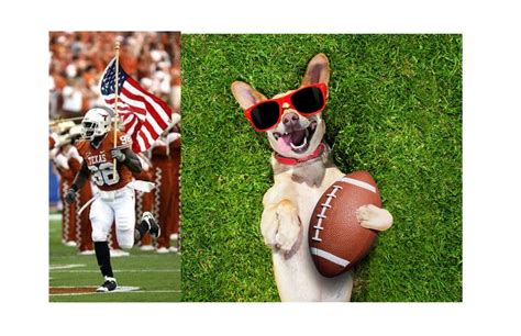 Free USFL Scores Live from Your iPad or iPhone