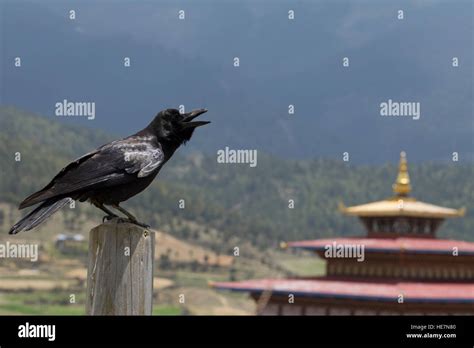 Ura bhutan hi-res stock photography and images - Alamy