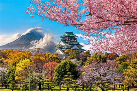 10 Day Ultimate Japan Tour Package - Tourist Journey