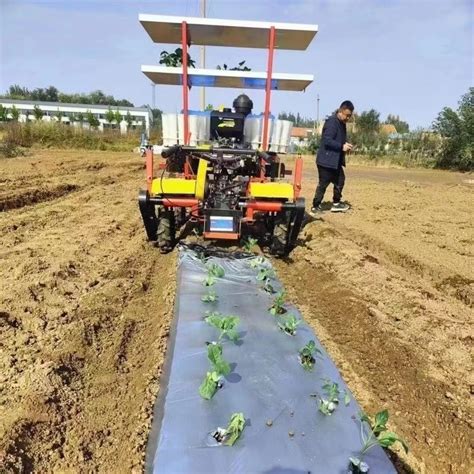 Onion Planter Machine For Agricultural Use Agricultural Onion Planter