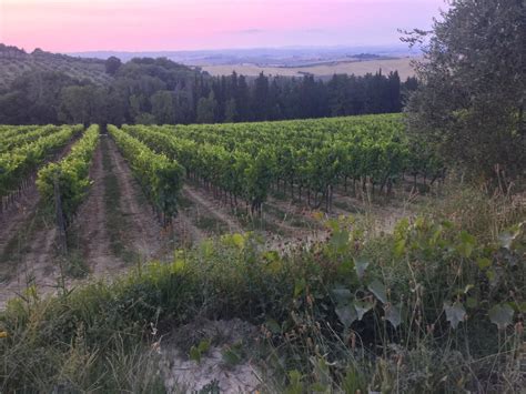 Tuscany Wine Tours — Italy Unfiltered