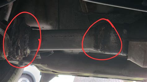 Exhaust leaking, delete the cat? : r/Cartalk