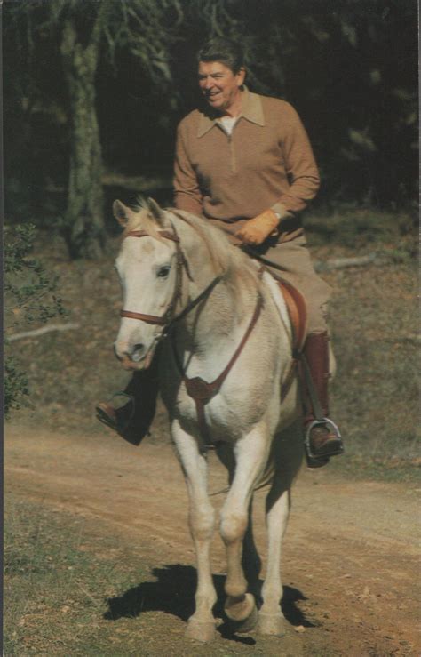 6 Vintage Postcards Of President Ronald Reagan With A Horse Antique