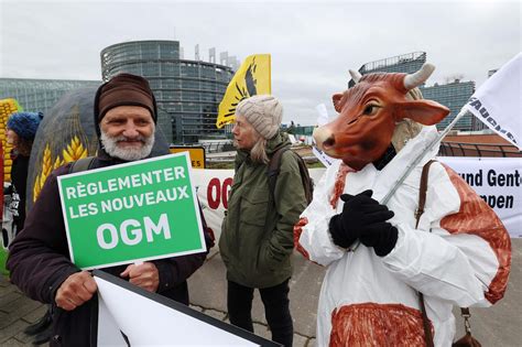 Le Parlement européen ouvre la voie aux nouveaux OGM