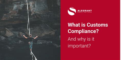 What Is Customs Compliance Understanding Customs Regulations Alegrant