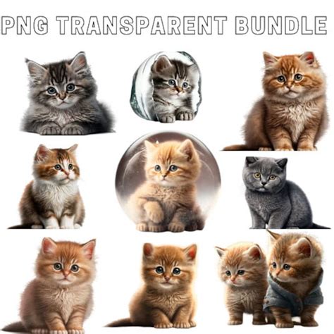 9 Cute Catkitten Collage Pack Png Digital Download Onlytransparent