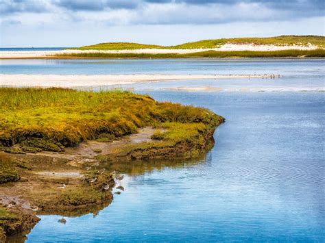 Costco's Fan-Favorite Dessert Just Received an Upgrade - Parade