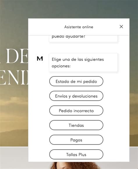 Qué Es Un Chatbot Para Qué Sirve Y Cómo Usarlo Para Atraer Clientes