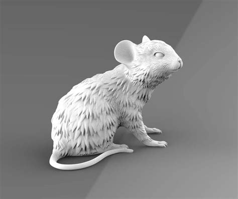 Mouse models