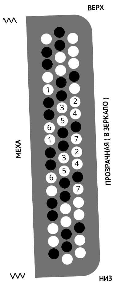Как расположены клавиши на баяне - globalbeatschool.ru