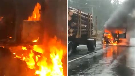 Otro Ataque De Radicales Mapuches En El Sur De Chile Un Camionero Baleado Está Grave Y 3