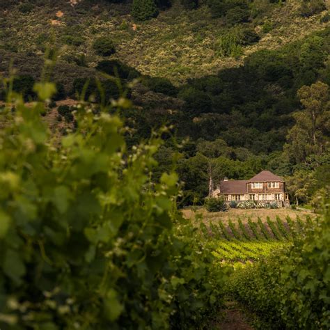 12 Best Sonoma Valley Wineries and Vineyards to Visit