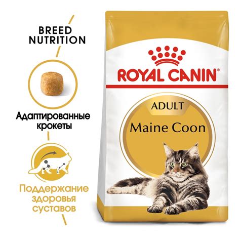 Royal Canin MAINE COON ADULT - Роял Канин для кошек породы мейн кун ...