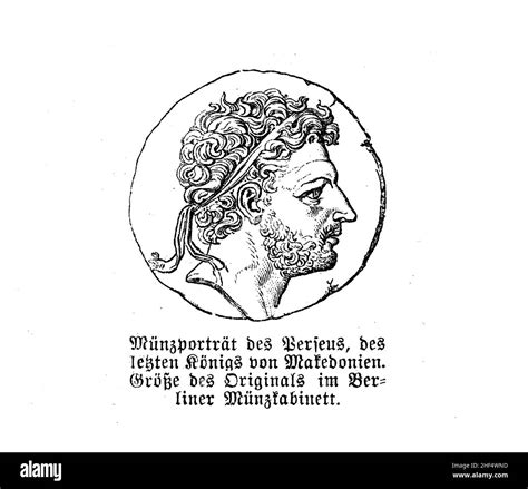 Perseus von macedon Fotos und Bildmaterial in hoher Auflösung Alamy