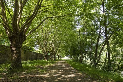 Glamping In De Franse Ardennen Glamorous Kamperen